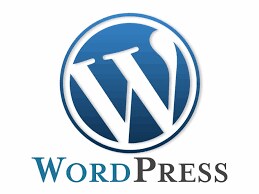 Wordpressプラグインの翻訳を致します 使いたいプラグインの日本語化をお手伝い致します！ イメージ1