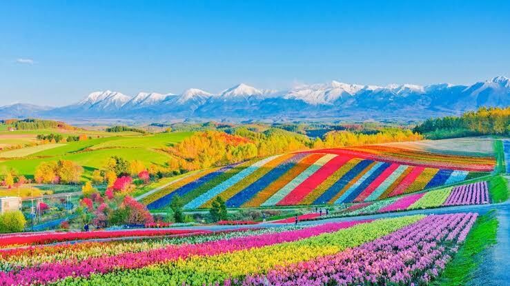 企画担当のプロが北海道のご旅行プラン立てます せっかく行くなら効率よく周遊したい方にアドバイスいたします！ イメージ1