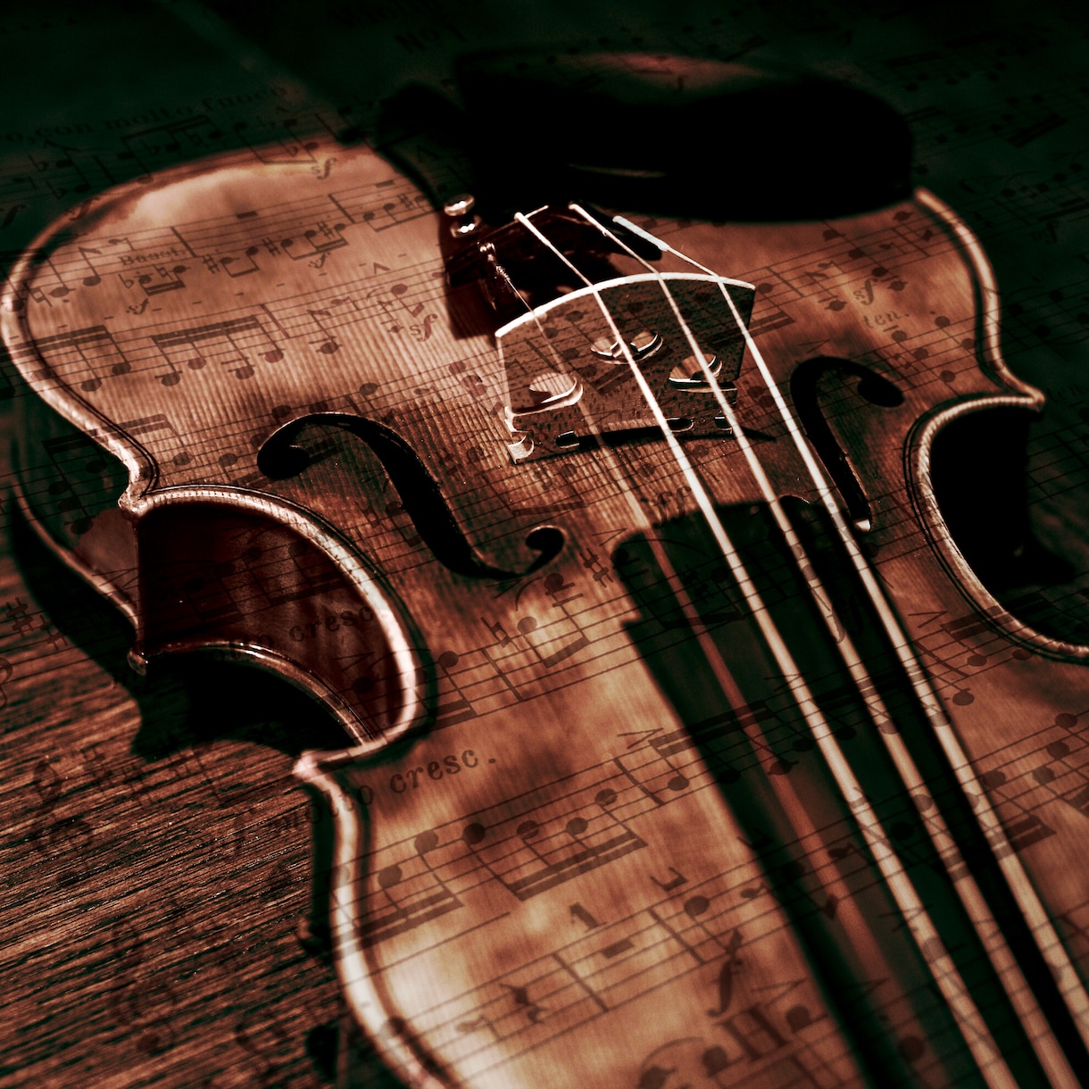 あなたが撮った写真を綺麗に加工します スマホ写真を手軽にプロのクオリティで楽しみたい方へ イメージ3