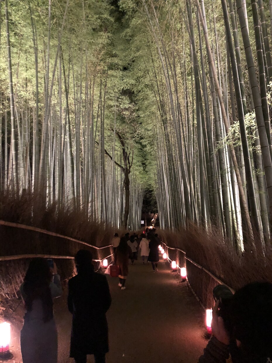 あなたの京都観光をとびっきり楽しい時間にします 学生によるゆったりまったり京都観光案内 イメージ4