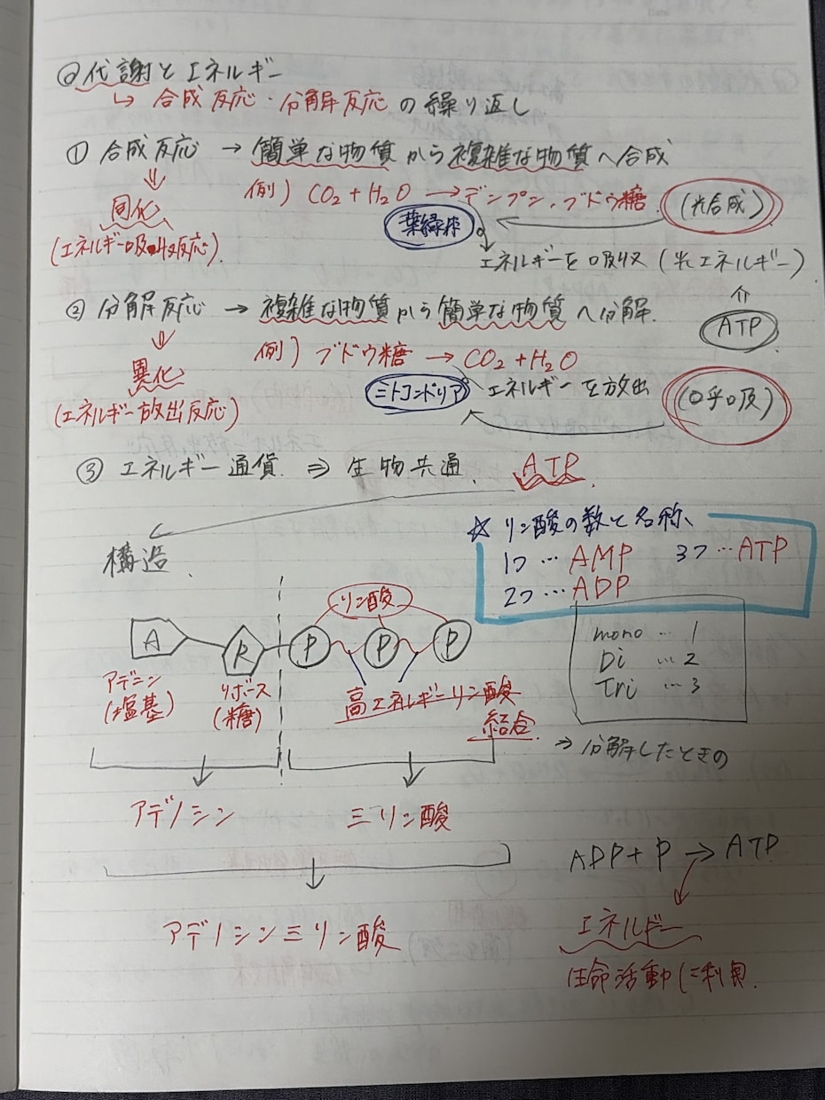 テストの成績アップのためのプリントを提供しています 小中高と成績トップの現役大学生がテスト点数アップの全てを伝授 イメージ6