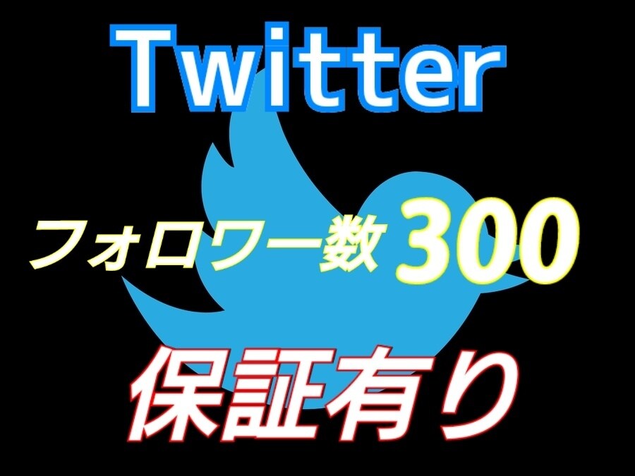 先着10名様ツイッターフォロワー数増やします フォロワー数を500人増えるまでお付き合いします。 イメージ1