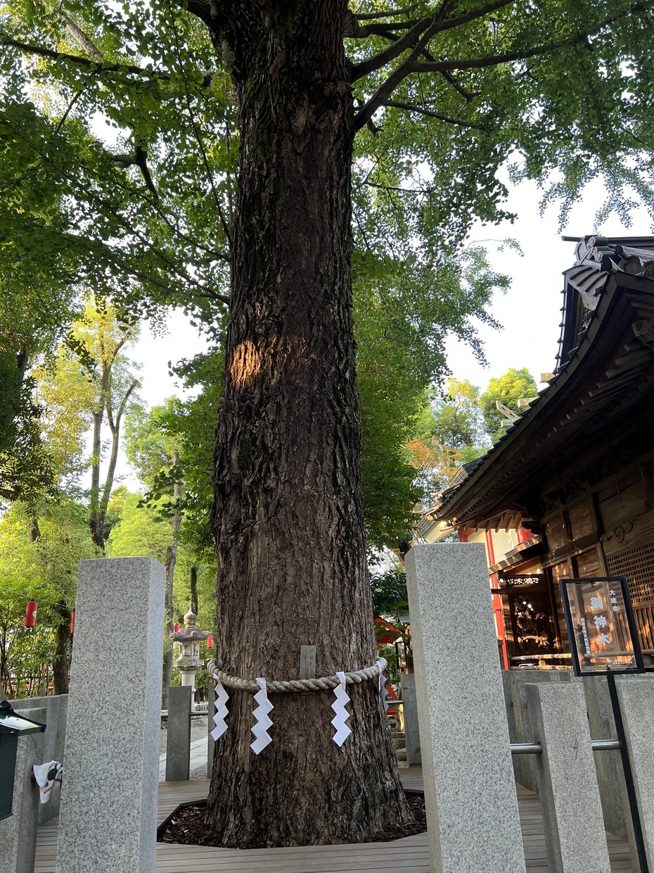 東京限定！参拝代行致します あなたのどうしても叶えたい願いを神様に伝えます。 イメージ5