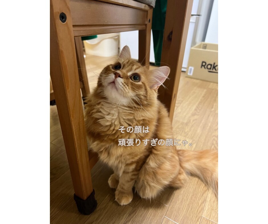 ひと息つきたい時、お話相手になります 「1分だけ」「少し聞いてほしい」も大歓迎♪ イメージ3