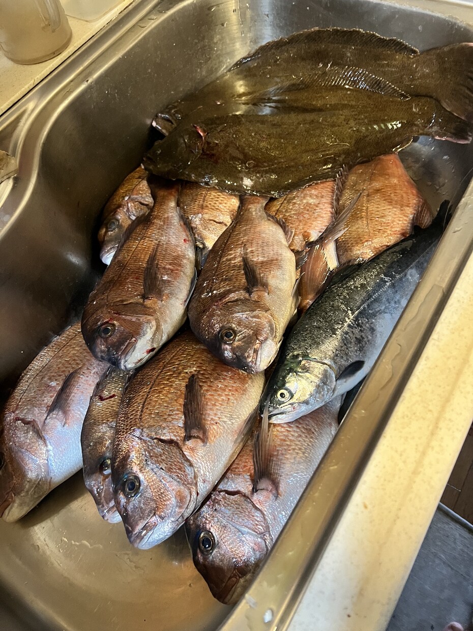 完全初心者向け、釣りの楽しさ教えます 釣り歴20年の私が釣りの全てを伝授いたします！ イメージ5