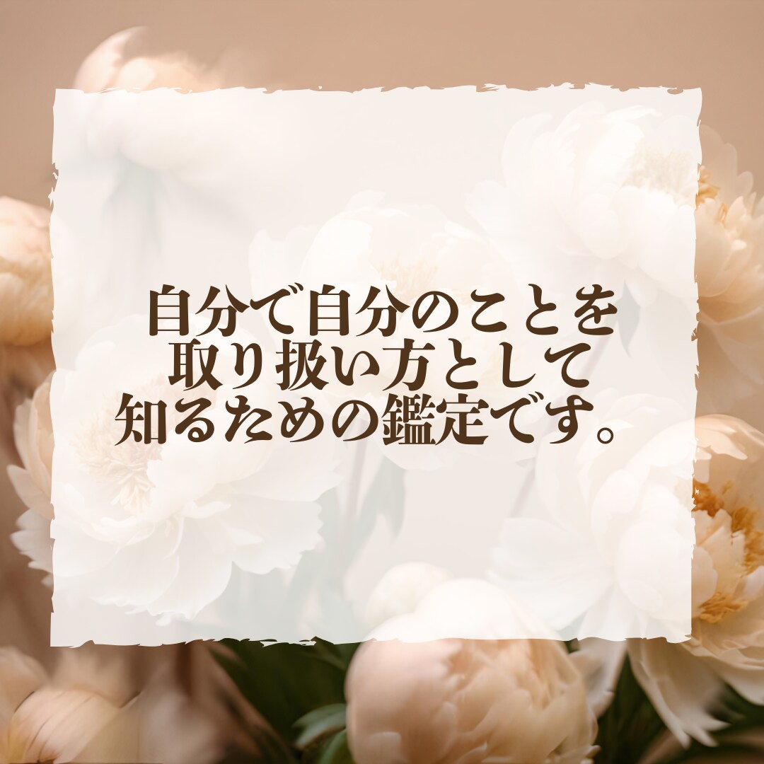 生きやすくなる為に、意外と知らない自分の事を観ます アゲ無し、激辛な切り口であなたの取り扱い方を伝えます。 イメージ4