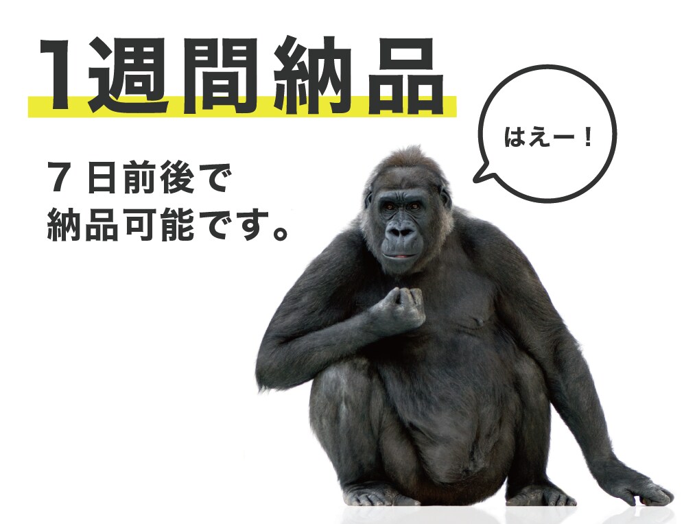 低価格高品質で速くランディングページ・LP作ります 業界実績10年以上！スマホ対応ランディングページはお任せあれ イメージ2