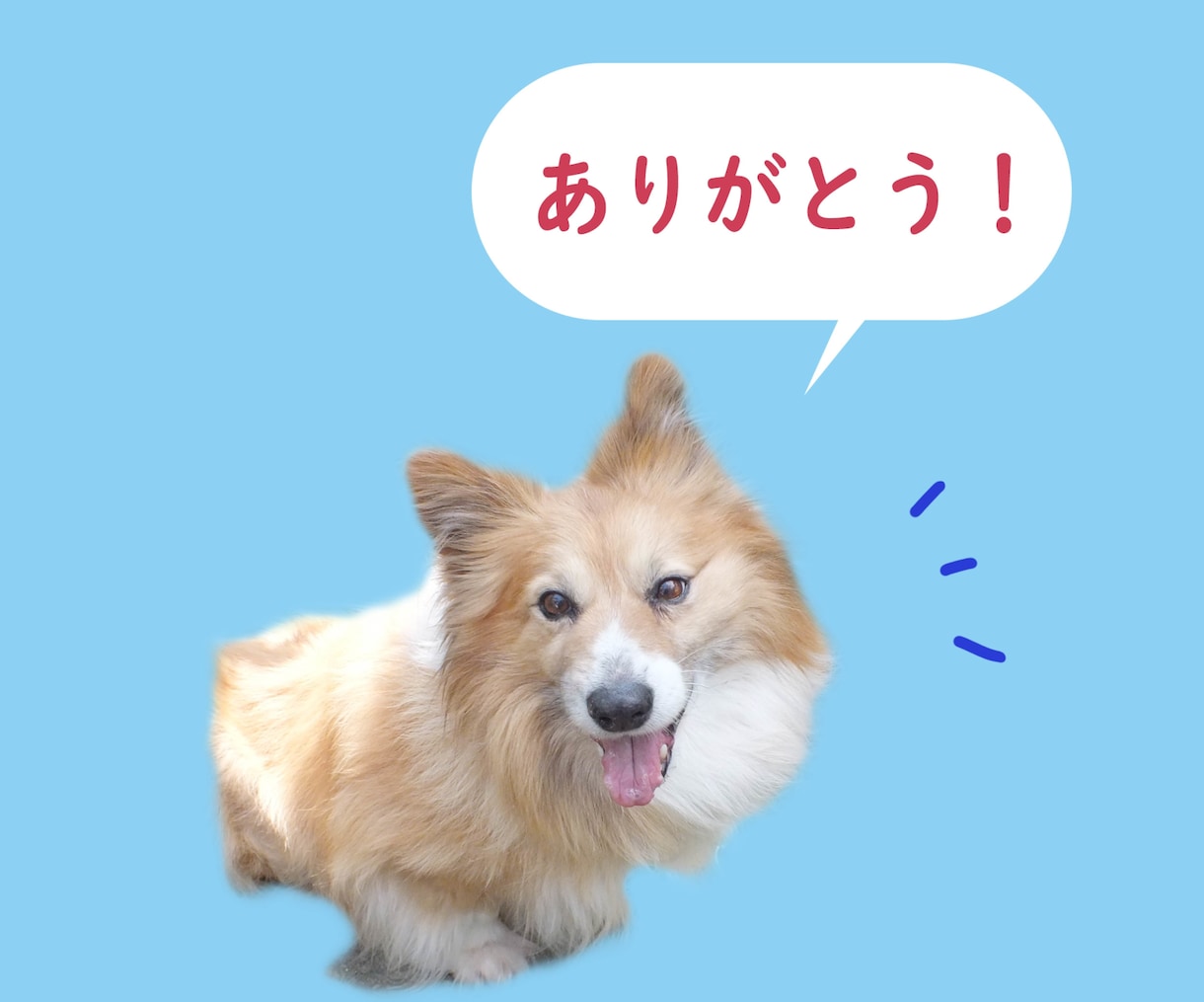 かわいいペットのLINEスタンプ作ります スマホ写真OK！色調補正も致します イメージ2