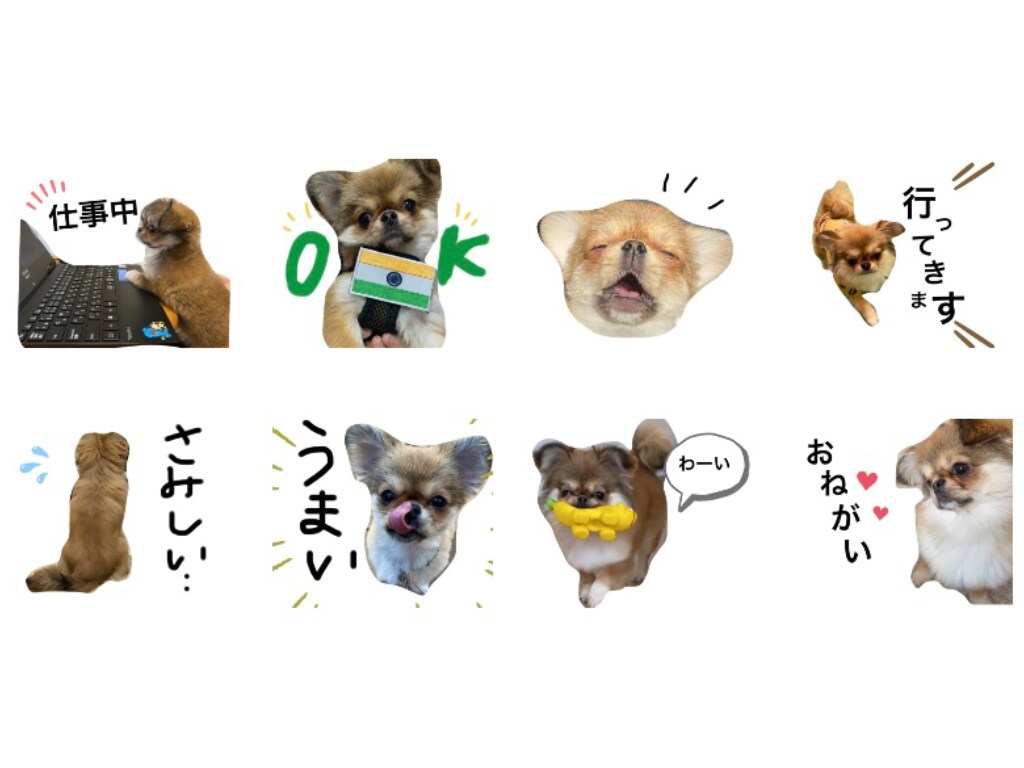 ペットスタンプ！カラフルなLINEスタンプ作ります 写真をアレンジ！手書きデザインの可愛いスタンプ！ イメージ3