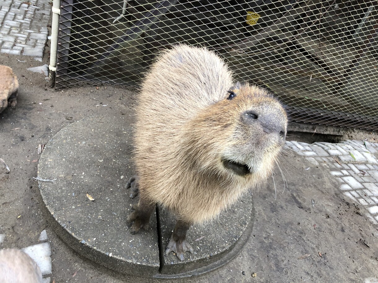 お悩み相談を承ります ☆☆心の扉を開いてほっこりと和みませんか？ イメージ6