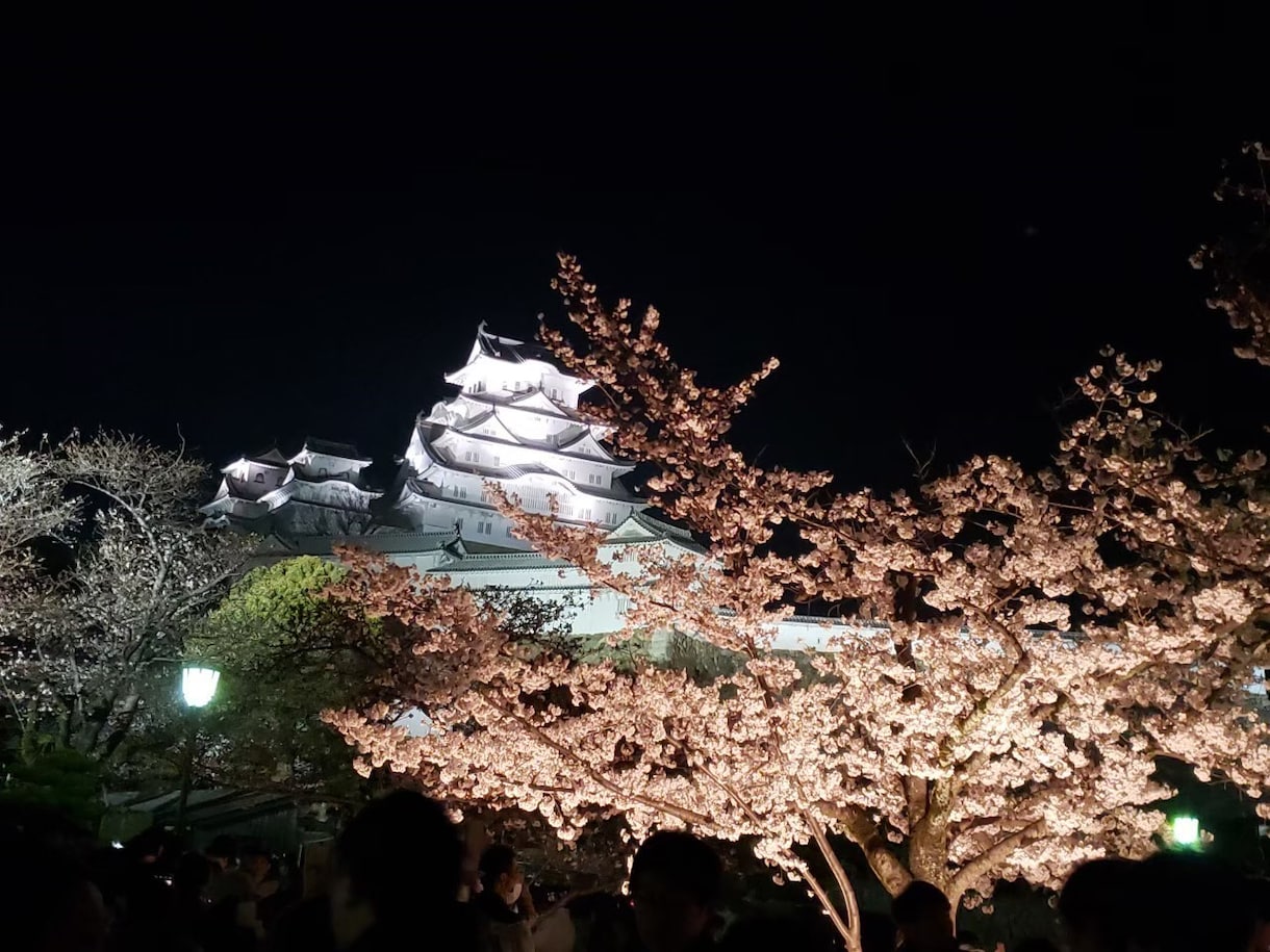 写真撮影、代行！人の手や足、耳も撮影します 風景、食べ物、物品の撮影を代行！加工有無選択可能です！ イメージ3