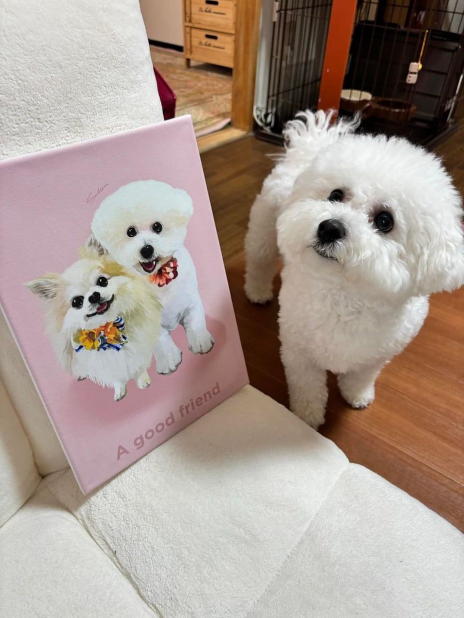 あなたのおうちのかわいいペットをイラストにします イラストをキャンバスやポスターにすることもできます！ イメージ9