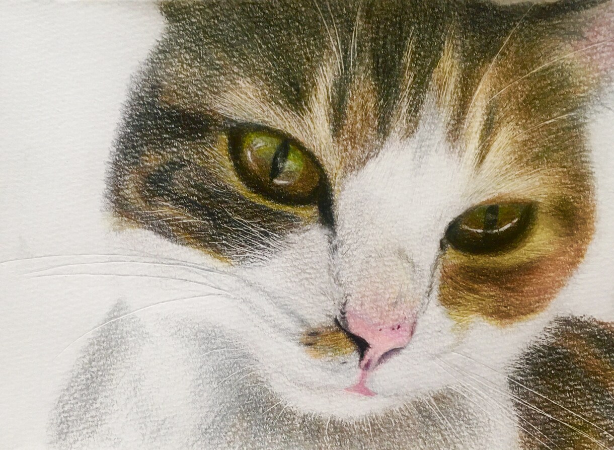 色鉛筆で動物、ペットの似顔絵お描きします 温かみのある世界に一つだけの絵をお届けします イメージ3