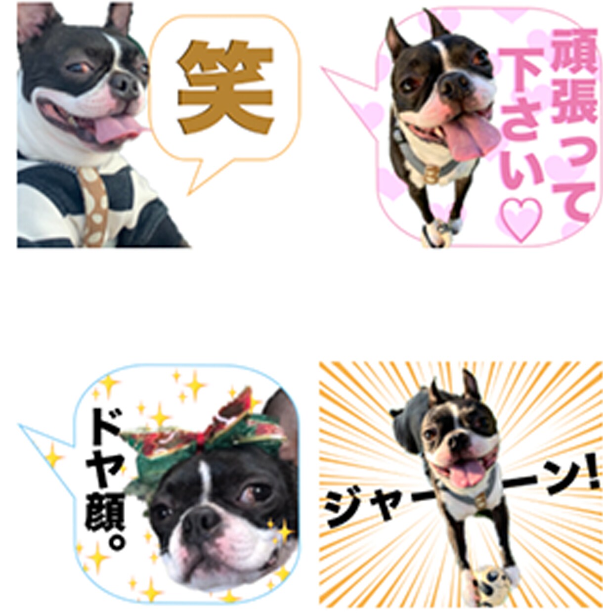 ペットやお子様のLINEスタンプをお作りします 【2000円〜】世界にたった一つのあなただけのスタンプ イメージ5