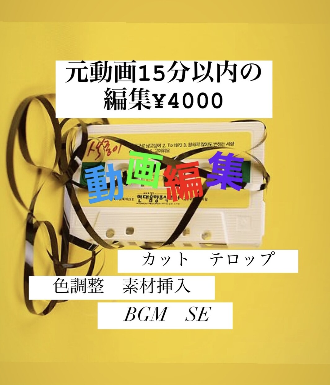 元動画15分以内のカット、字幕などの編集をします 費用を抑えたい方、細かい要望をしたい方は是非！モザイク等も可 イメージ1