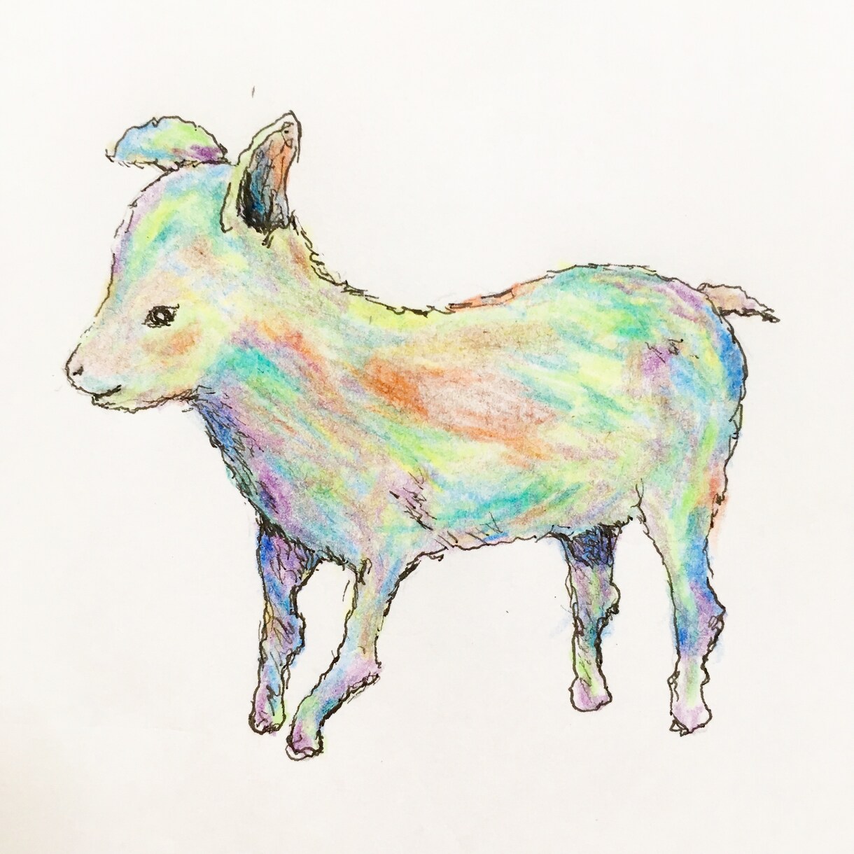 どうぶつを描きます ペン画がココナラである僕があなたのすきなどうぶつを描きます！ イメージ1