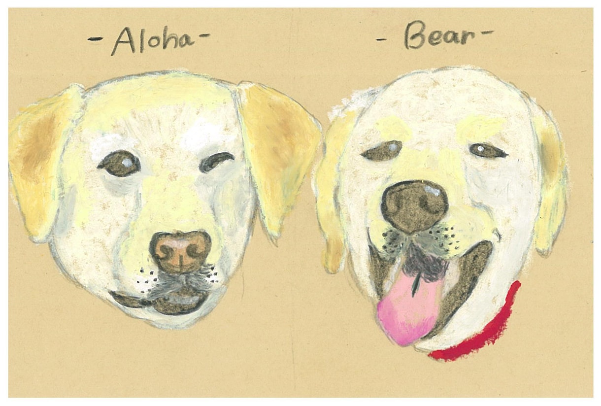 愛するわんちゃんの似顔絵を描きます 虹の橋を渡ったわんこの思い出や愛犬家の友人へのプレゼントに イメージ9