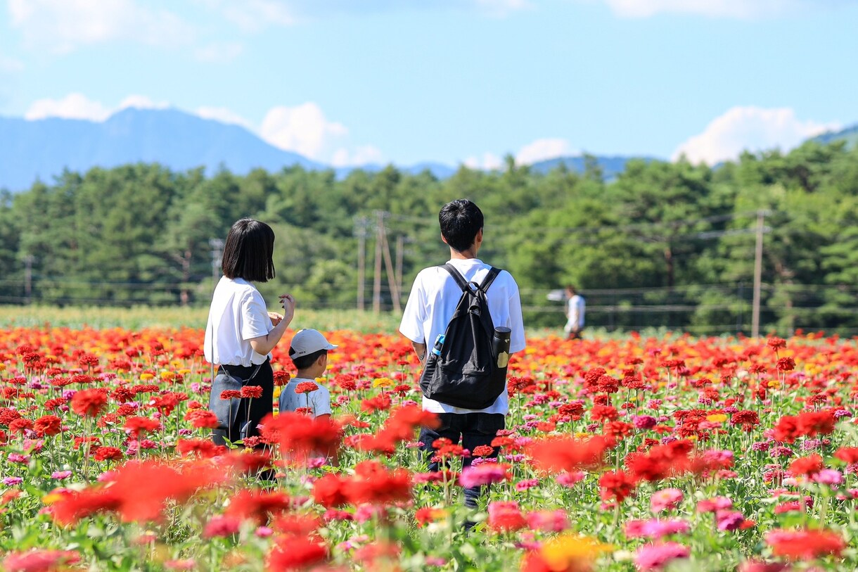 普段の雰囲気や特別なイベントを撮影します 保育士5年間写真スタジオで4年間経験を活かして撮影します イメージ5