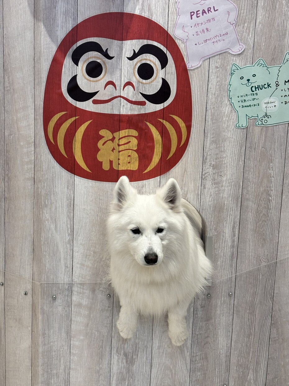 女性向け集客に強いおしゃれチラシ制作します 女性向け店舗の集客を応援します イメージ10