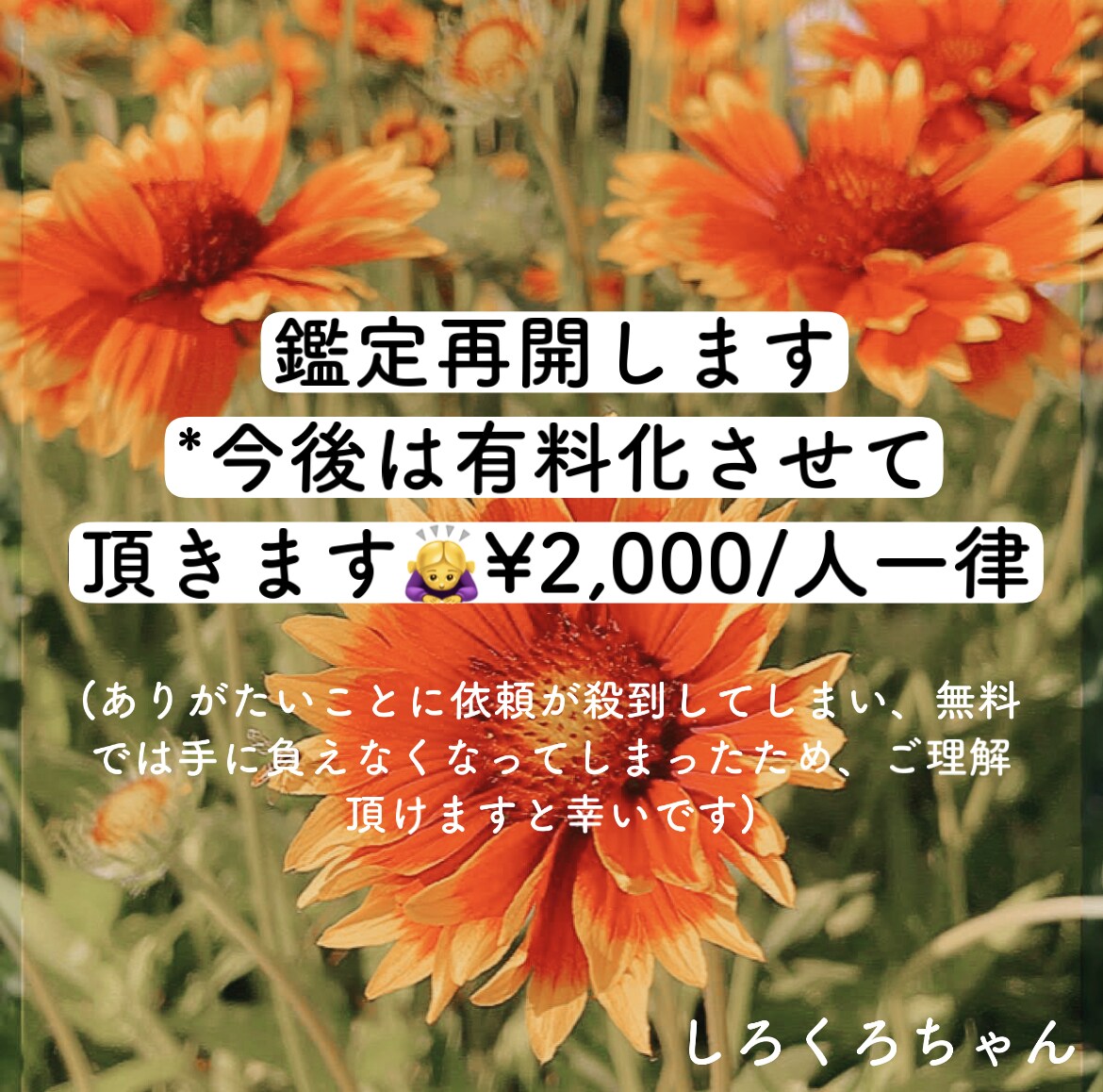 非対面、匿名で手相鑑定を行っております お悩みを抱えた方、困っている方の力になりたい。 イメージ1