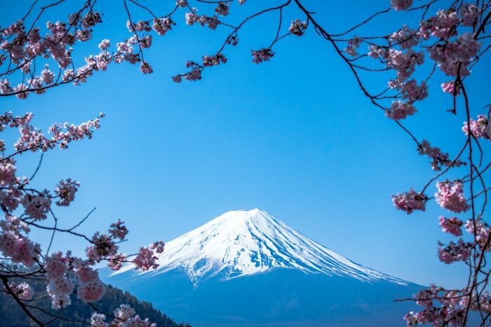 日本語の論文の添削をします 〜ネイティブが自然な日本語への修正をお手伝いします〜 イメージ1