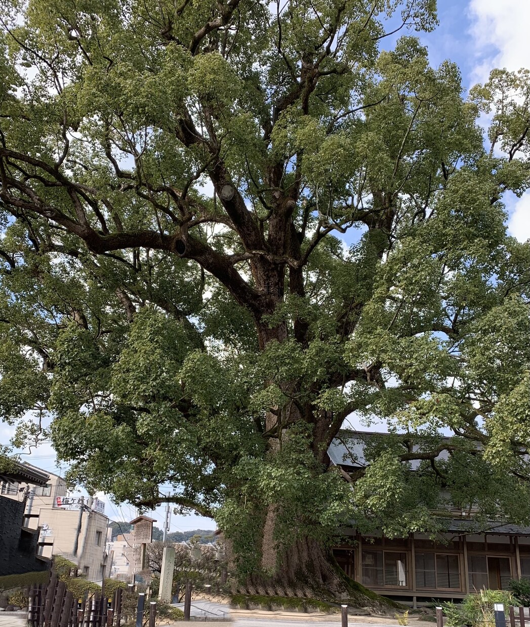 あなたの悩みじっくり聞きます ひとりで悩んでますか？話すと少し楽になりますよ^ ^ イメージ1