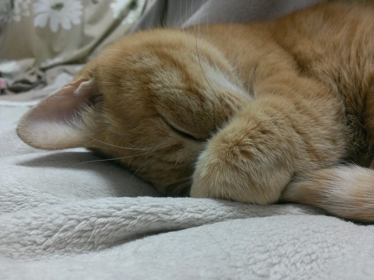 どなたでも。悩み、愚痴、お話なんでも聞かせてください。 イメージ2