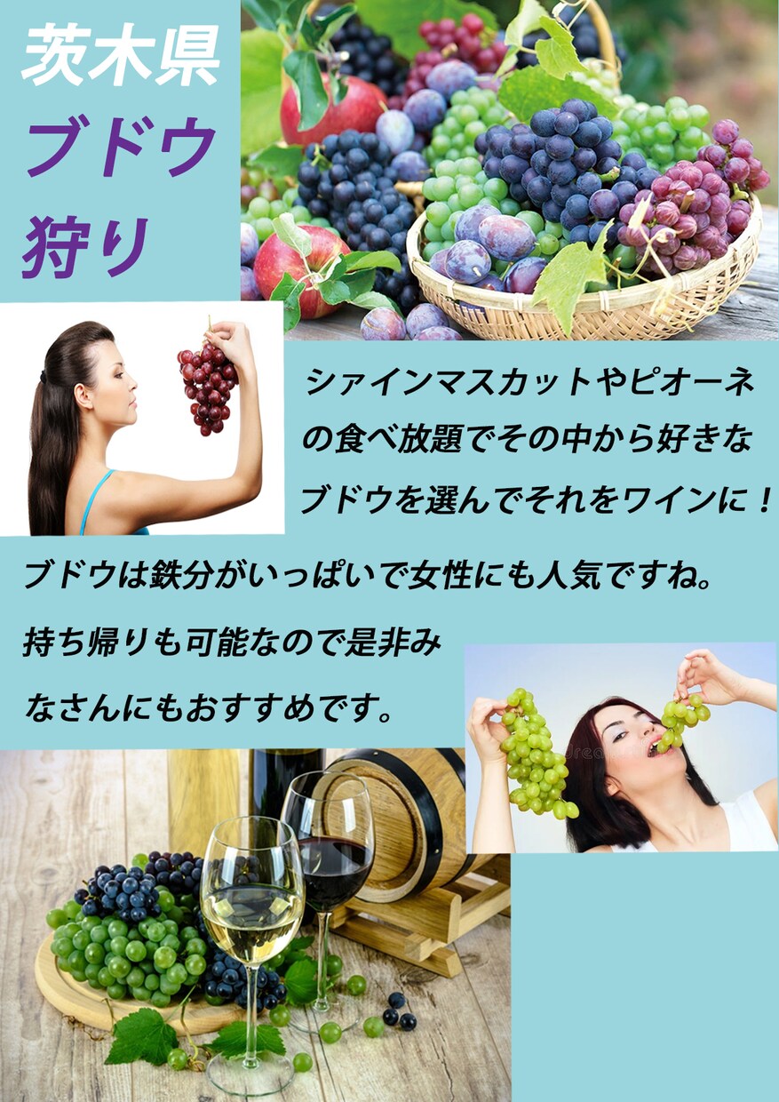 色彩構図で興味を引きお客様を喜ばせ結果に繋げます 広告のテーマに合わせた色彩を使ってお客様を反応させます。 イメージ2