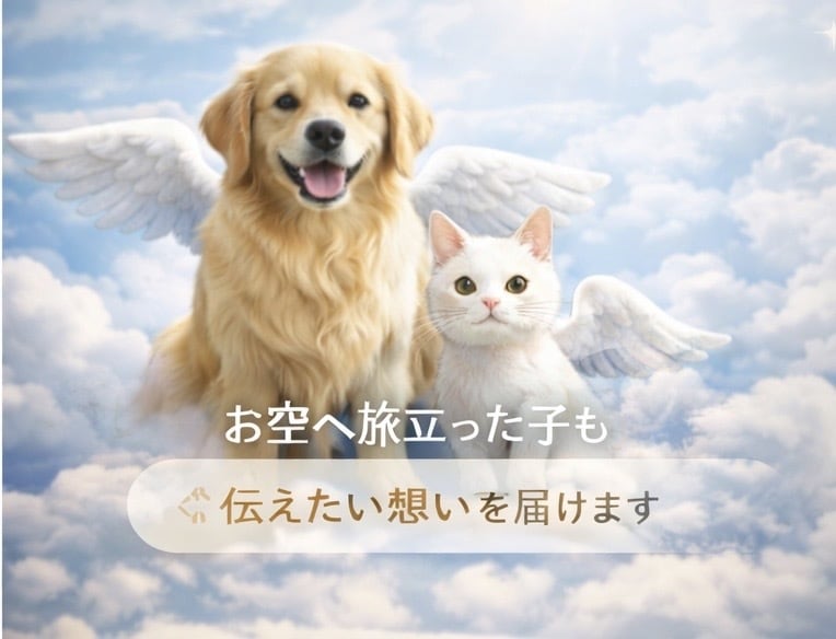 ペットの本音を伝えるアニマル通信致します 行動の理由や本心を丁寧に読み取ります イメージ2
