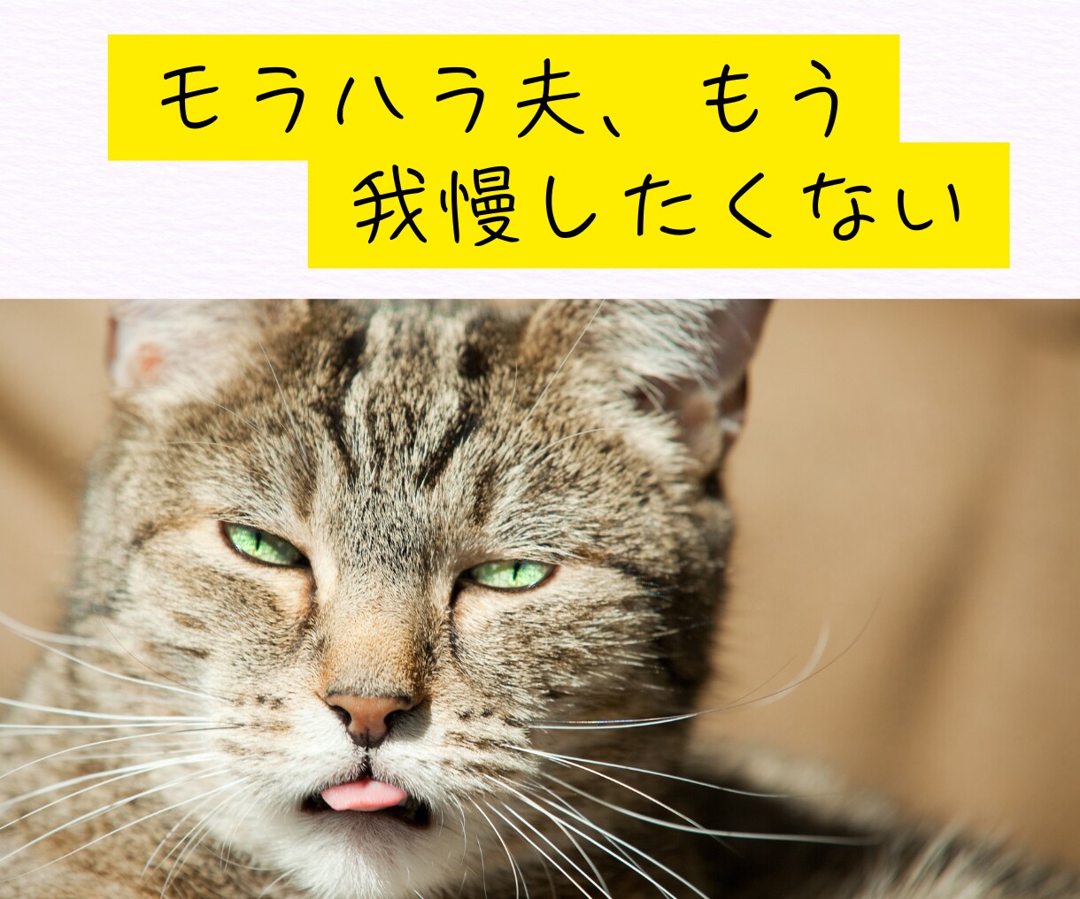 50代女性限定。夫の愚痴、何でも聞きます モヤモヤを抱えないで。“この年齢だから”話せることがあります イメージ3