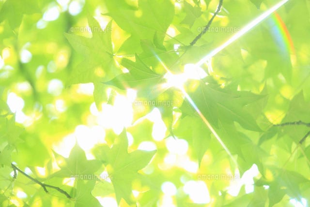 ダウジングでYESかNOかをみます 悩み、迷いがある方の後押しします♡ イメージ1