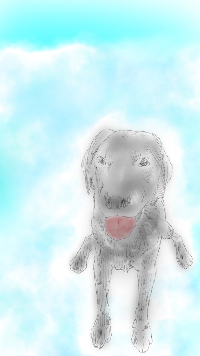 ペットのイラスト作成します SNSアイコンなどに使用するイラストを作成させて頂きます！ イメージ5