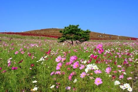 転倒予防についてアドバイスさせて頂きます まず何をすればいいか、何が原因なのか悩んでいる方に イメージ2