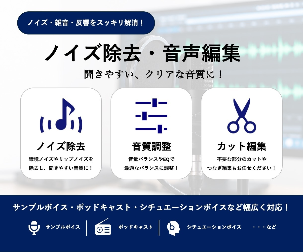 幅広い作品に対応！ノイズ除去・音声編集します 迅速かつ丁寧にクリアな音質に仕上げます！ イメージ1