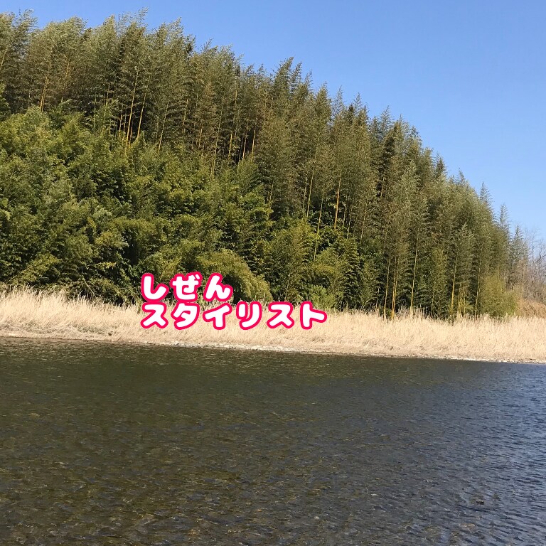商品のネーミング、ペットの名前、アイデア考えます 笑い、楽しい、素敵！色んな独特のアイデア考えます！ イメージ4