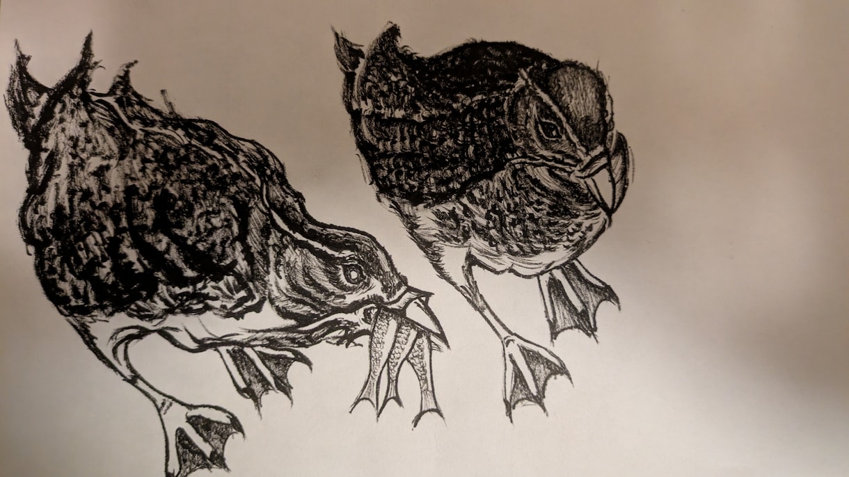 現役寿司職人が描く！粋で躍動感のある墨絵制作します 包丁を筆に持ち替え、動物など躍動感を一枚の紙に吹き込みます。 イメージ3