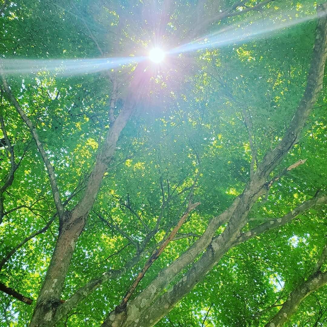 貴方の人生を変革させます あなた本来の完全なる輝きを取り戻し最高の現実を想像したい方へ イメージ1