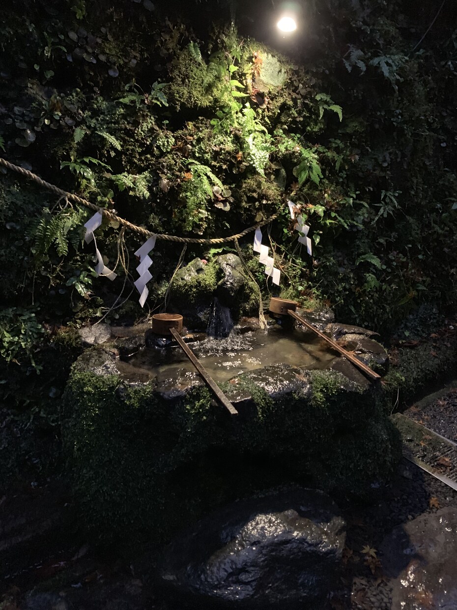 タロット占いでもやもやをhappyに♡鑑定します 生まれ持った性質、相手の気持ち未来アドバイスが得意◎ イメージ5