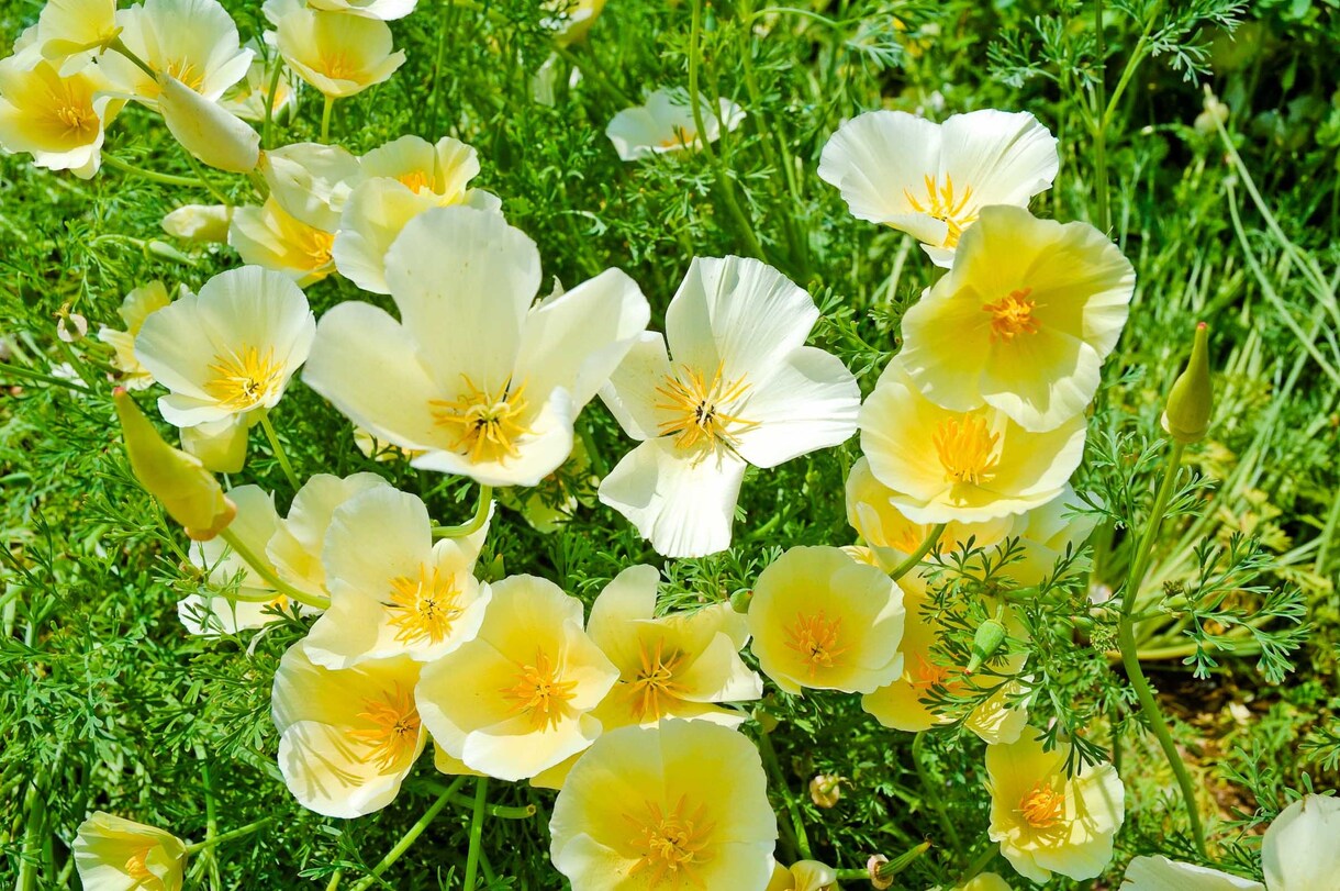 今日は今日！明日は明日！スカッさせます 今日あったことをすべて出しきって明日を迎えよう☆ イメージ10