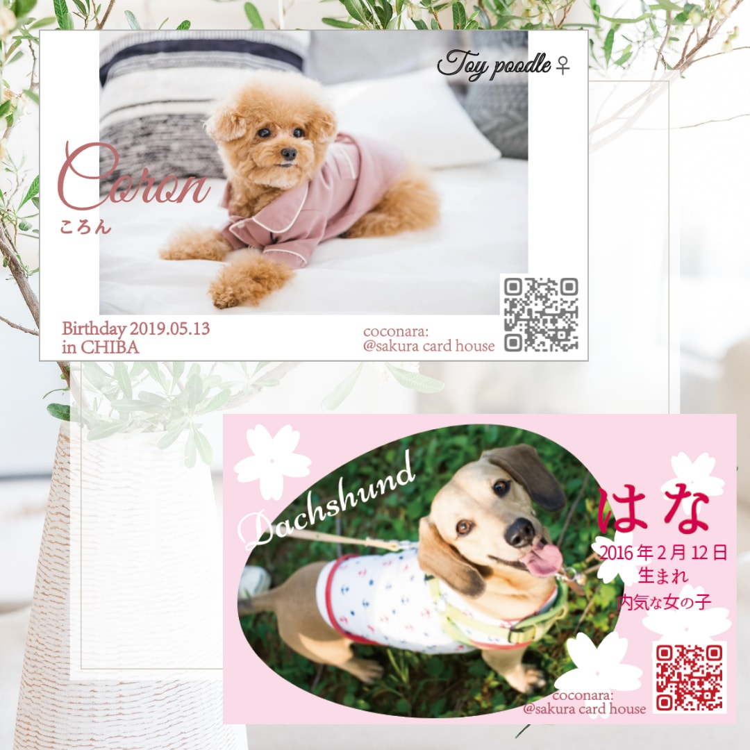 ペット名刺・うちの子カードのデザイン制作承ります お友達と交換しよう！思い出に残るペットのオリジナル名刺 イメージ3