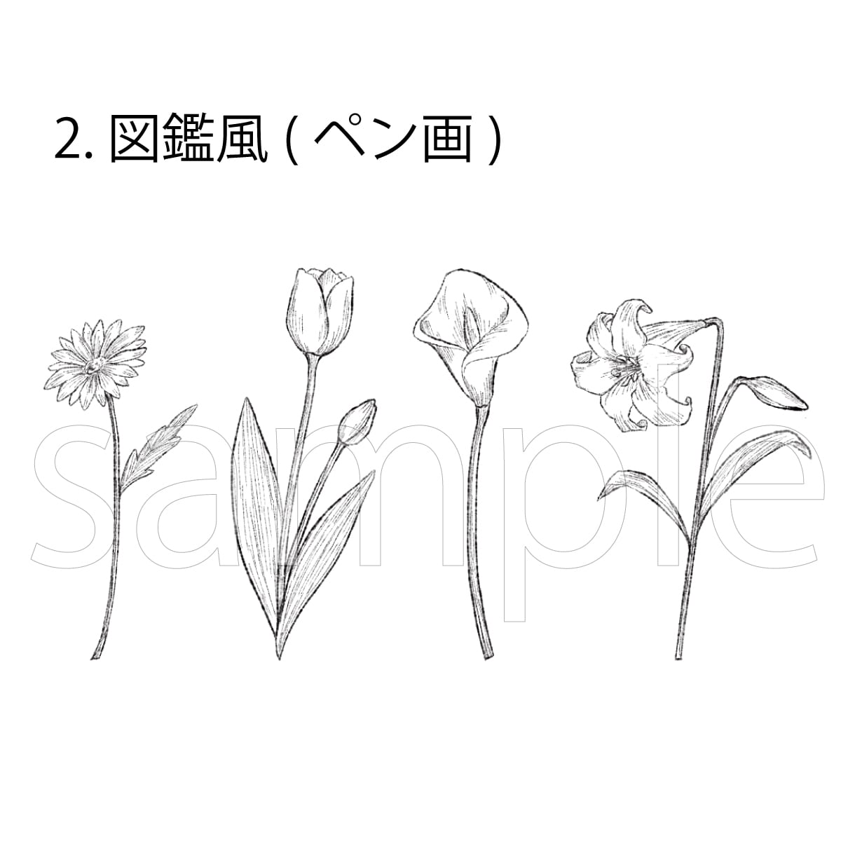 色々なテイストの植物イラスト描きます 一筆書き、図鑑みたいな線画、リアルなどお選びいただけます イメージ3