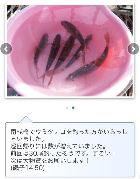 東京湾、横浜、護岸、海釣り公園　秘密釣り方教えます なんでこんなに釣れるの？GOGOフッシング イメージ6