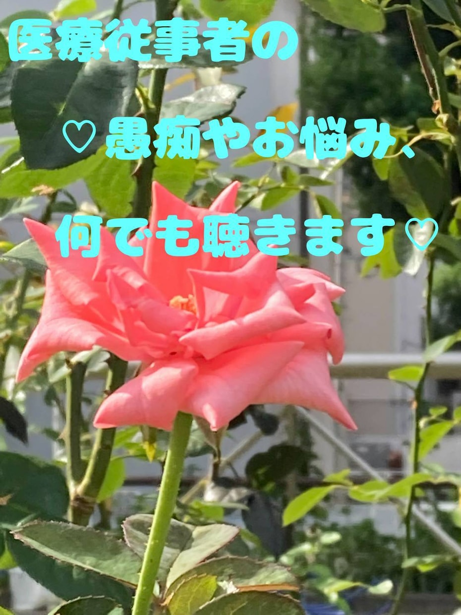 医療従事者の愚痴やお悩みなんでも聴きます 私とお話しして、心をリセットしましょう♡ イメージ1