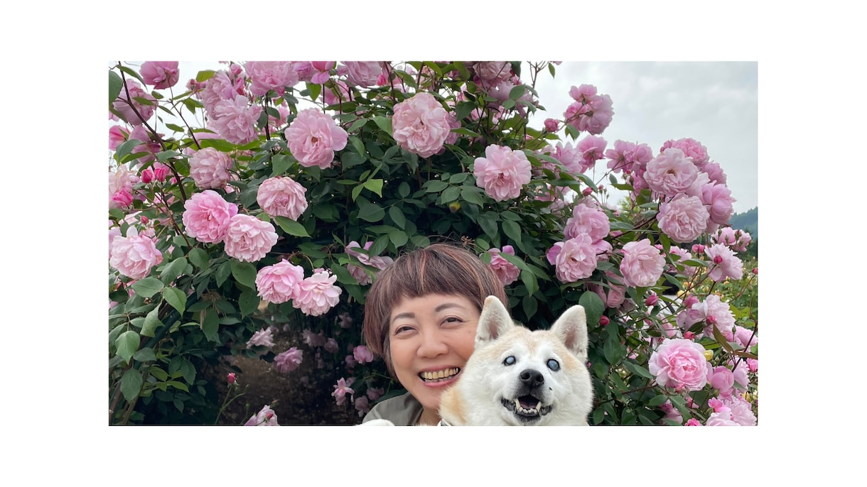 お気楽サバイバル英会話＆海外生活相談します 完璧な英語より　伝える英語を！ イメージ1