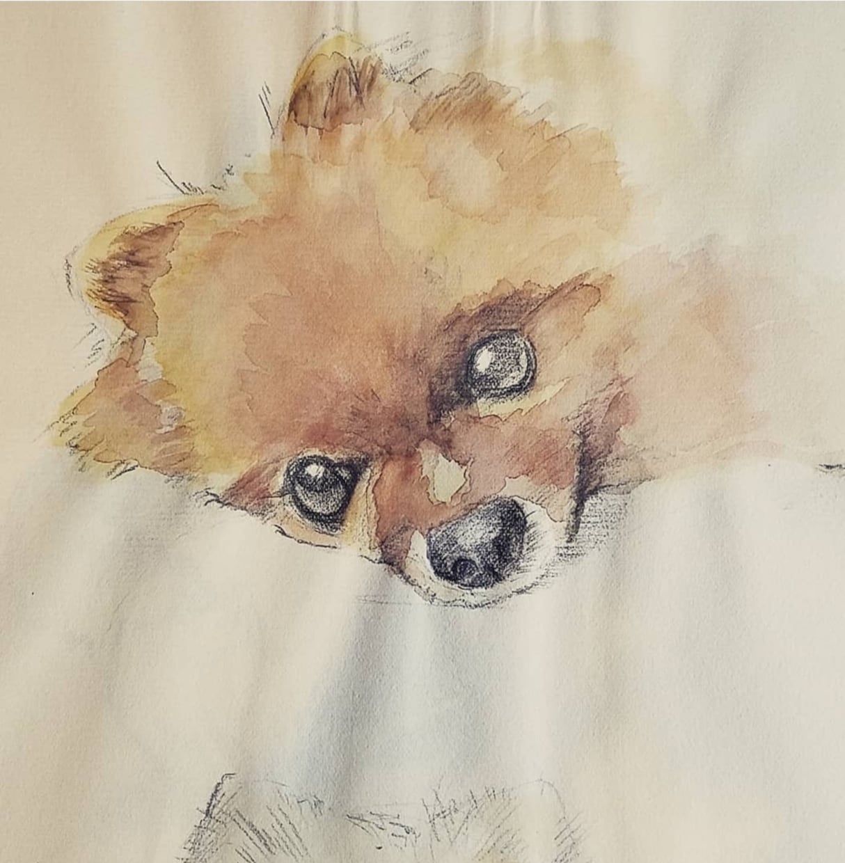 ペットは家族。お気に入りをお描きいたします この一瞬がどうしても好き！まずは御相談ください。 イメージ4