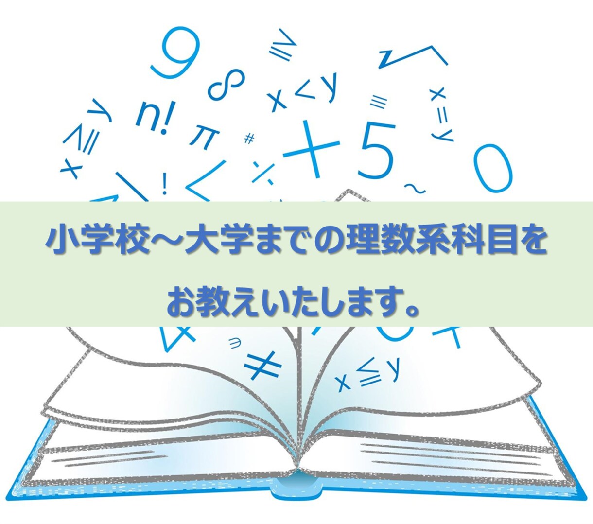 小学校～大学までの理数系科目をお教えします 家庭教師・塾講師経歴が５年ございます！ イメージ1