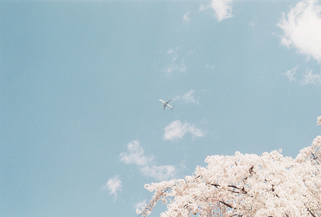写真を提供いたします ブログやコラム記事などで写真素材が必要な方へ。 イメージ6