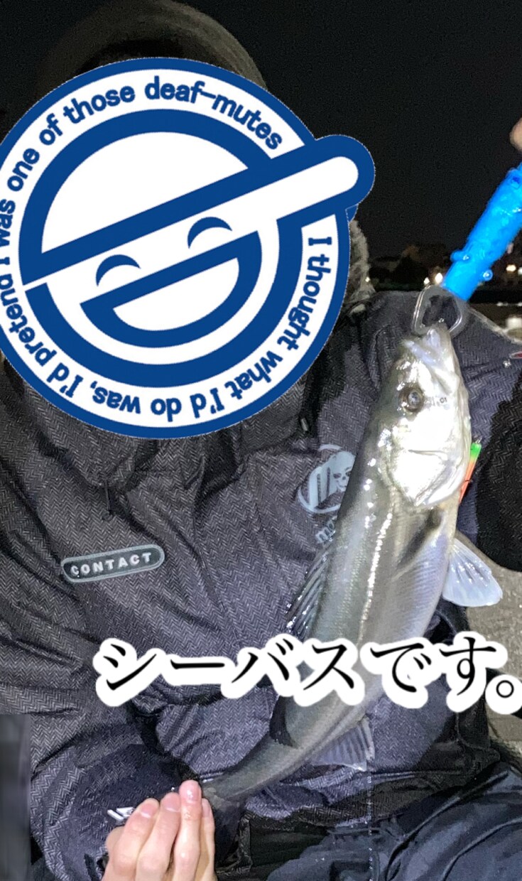 シーバス釣りについてお教えします これから釣りを始めたい、釣りに苦戦してる人へ情報提供します！ イメージ4