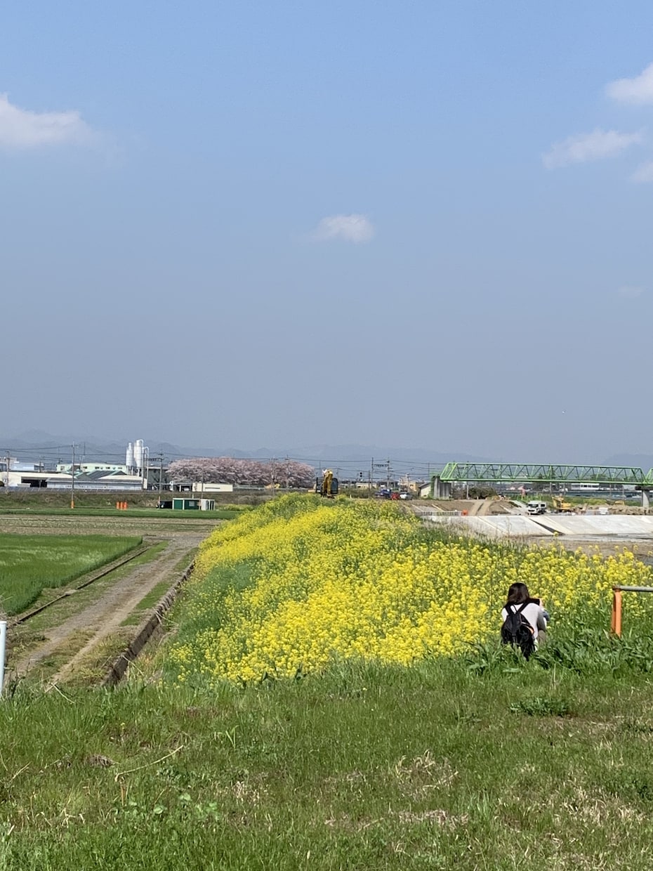 返信に困った方にアドバイスや参考文章を提供します より好意を持って貰うための返信や相手が返信しやすい文章の提供 イメージ1