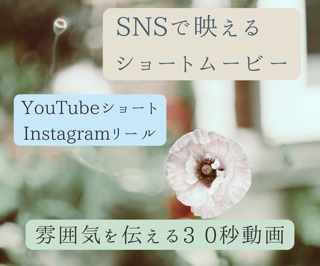 雰囲気あるSNSショート動画作ります 色調と音楽で魅せる映像、30秒の世界 イメージ1